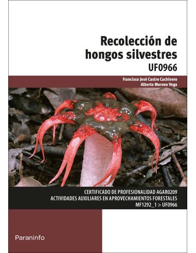 Recolección De Hongos Silvestres