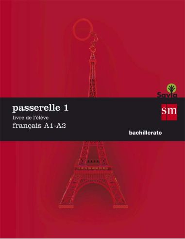 Passarelle 1