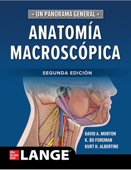 Anatomía Macroscópica