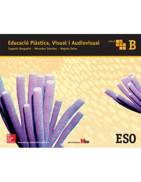 Educacio Plastica, Visual I Audiovisual B. Mosaic.