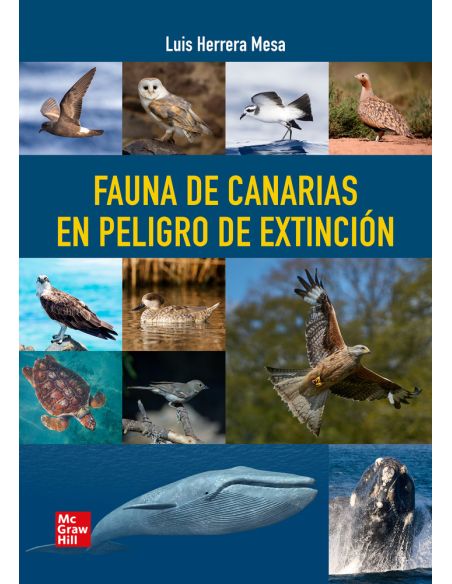 Fauna De Canarias En Peligro De Extincion