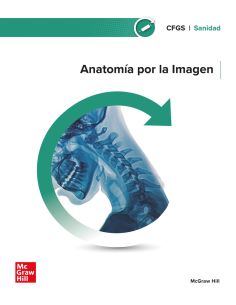 Anatomía Por La Imagen