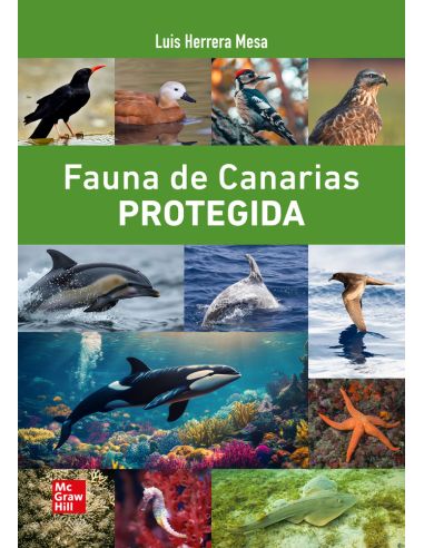 Fauna De Canarias Protegida