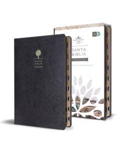 Biblia reina valera 1960