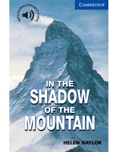 In The Shadow Of The Mountain Level 5