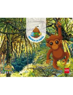 PROYECTO EXPLORA: SELVA A LA VISTA 4 AÑOS 2º TRIMESTRE 2017
