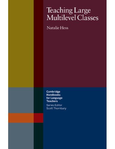 Teaching Large Multilevel Classes