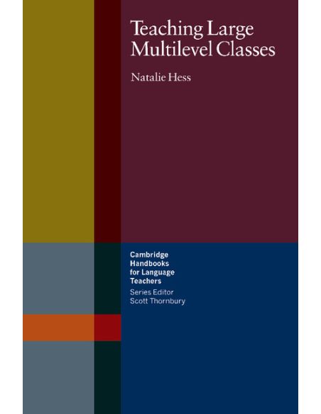 Teaching Large Multilevel Classes