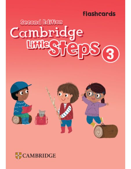 Cambridge Little Steps Level 3 Flashcards