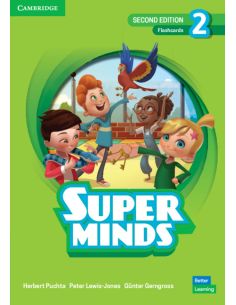 Super Minds Level 2 Flashcards British English