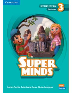 Super Minds Level 3 Flashcards British English