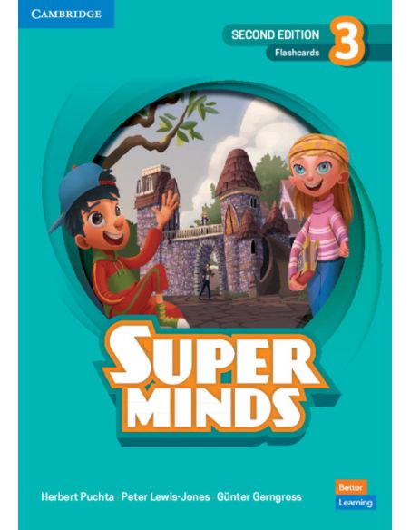 Super Minds Level 3 Flashcards British English