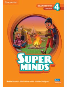 Super Minds Level 4 Flashcards British English