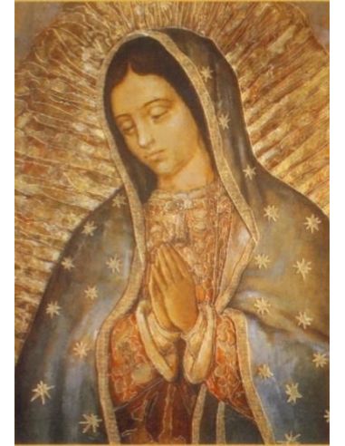 Cartel 49X68  614-Cr. Nº 232 Guadalupe Busto