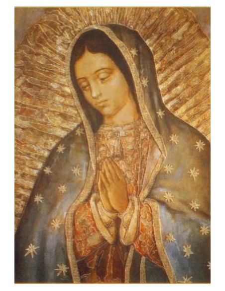 Cartel 49X68  614-Cr. Nº 232 Guadalupe Busto