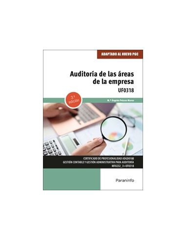 Auditoría De Las Áreas De Empresa