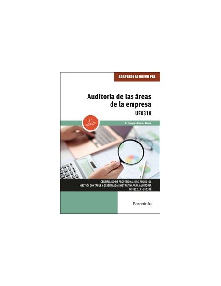 Auditoría De Las Áreas De Empresa