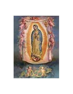 Cartel 49X68  614-Cr. Nº 31 Guadalupe Mex.