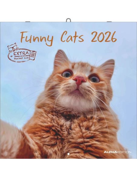 Calendario 2026 - Funny Cats (30X30) (160939)