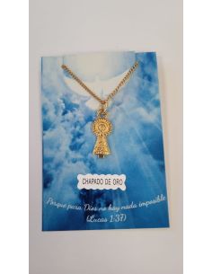 Collar Virgen del Pilar 20mm silueta baño oro c/cadena acero