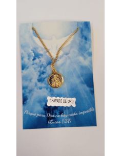 Collar Escapulario 12mm Baño oro c/cadena acero