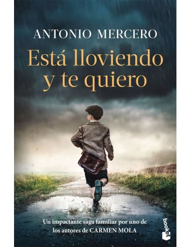 Está lloviendo y te quiero