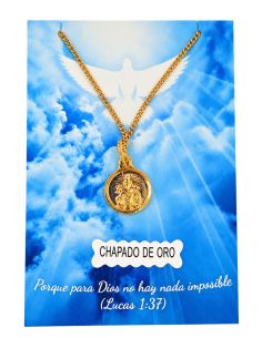 Collar Escapulario 12mm Baño oro c/cadena acero