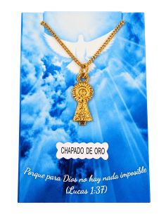 Collar Virgen del Pilar 20mm silueta baño oro c/cadena acero