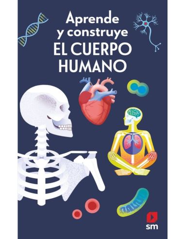 Aprende y construye. El cuerpo humano