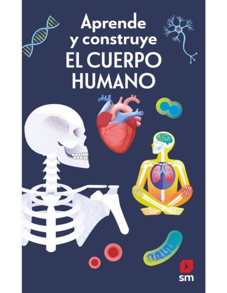 Aprende y construye. El cuerpo humano