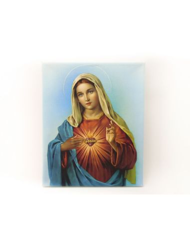 Lienzo 20X25 Corazon De Maria