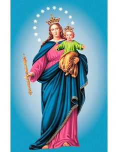 Cartel Lamina Poster Maria Auxiliadora Plástico (Cuerpo Entero) 150 X 330 Cm