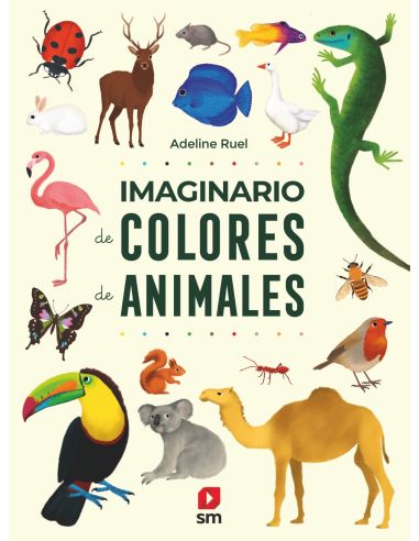 Imaginario De Colores De Animales