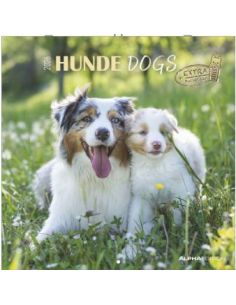 Calendario 2026 - Dogs (30X30) (160302)