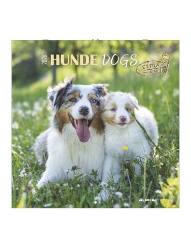 Calendario 2026 - Dogs (30X30) (160302)