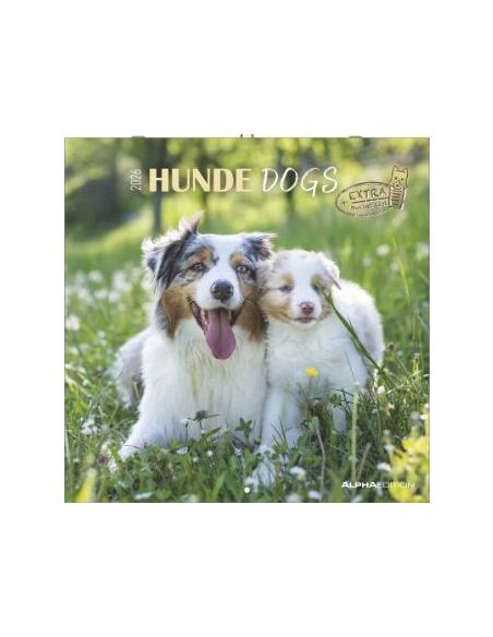 Calendario 2026 - Dogs (30X30) (160302)
