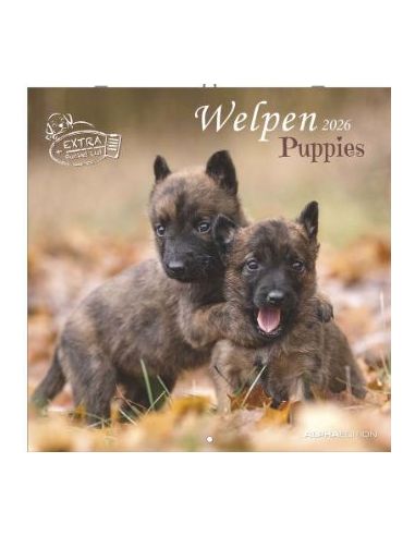 Calendario 2026 - Puppies (30X30) (160940)