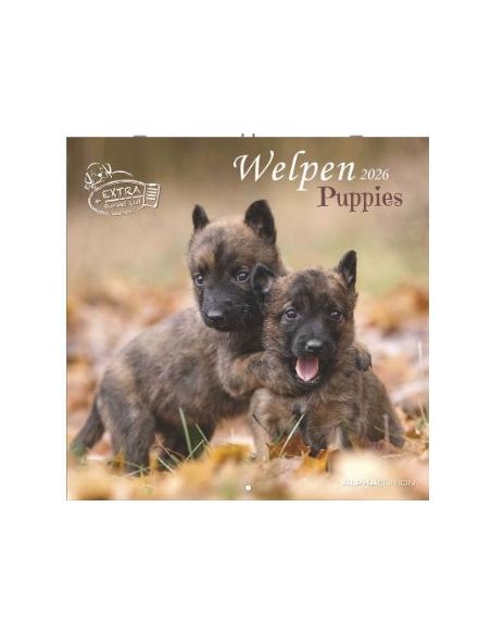 Calendario 2026 - Puppies (30X30) (160940)