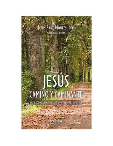 Jesús Camino Y Caminante