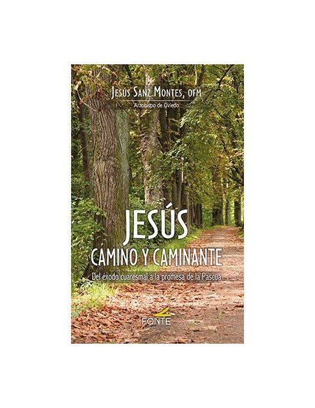 Jesús Camino Y Caminante