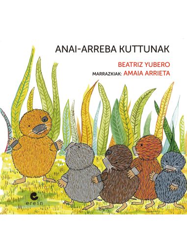 Anai-Arreba Kuttunak
