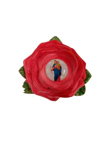 Iman Resina Flor Rosa 60X50 (200) Auxiliadora