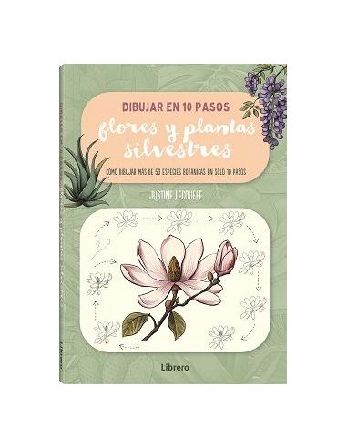 Dibujar Flores Y Plantas Silvestres En 10 Pasos