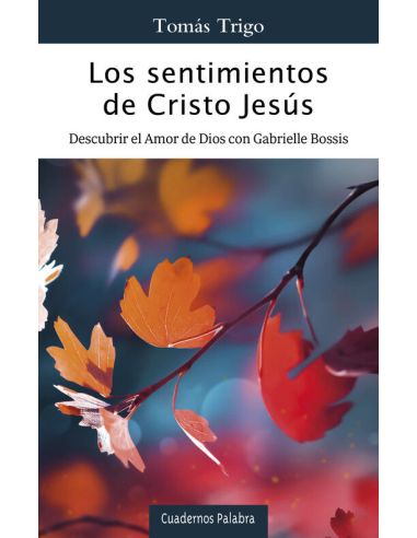 Los Sentimientos De Cristo Jesús