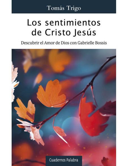 Los Sentimientos De Cristo Jesús