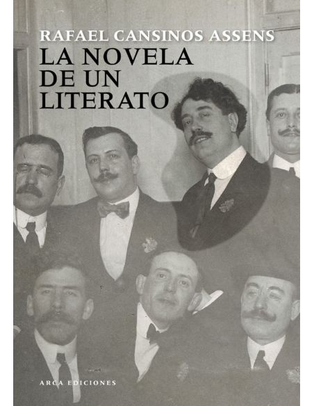 La Novela De Un Literato
