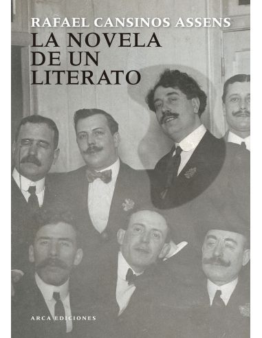 La Novela De Un Literato