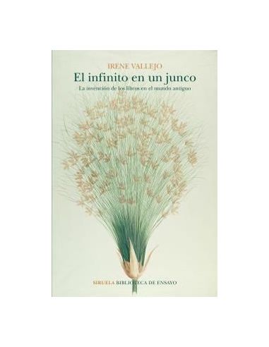El Infinito En Un Junco