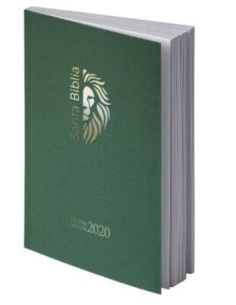 Biblia Rvr2020 Tamaño Manual Letra Grande Rústica Verde