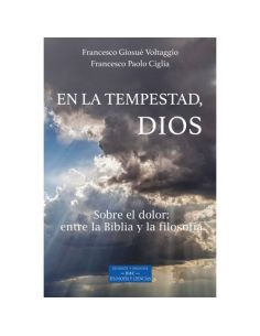 En La Tempestad, Dios. Sobre El Dolor: Entre La Biblia Y La Filosofía